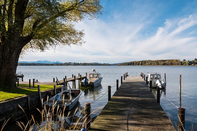 他们在进攻 他们在进攻