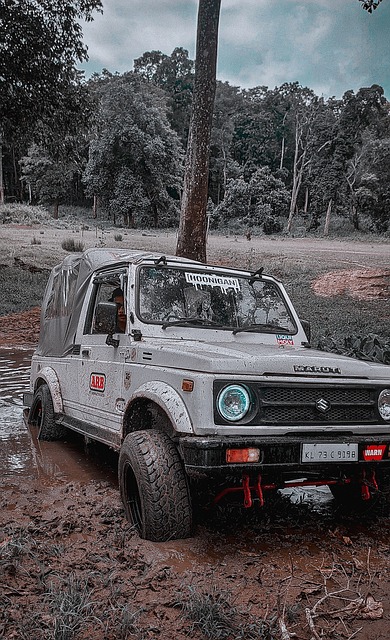 亚兹的出色 亚兹的出色