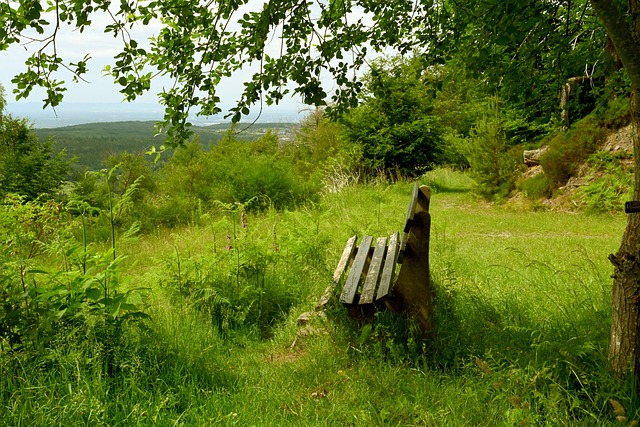 冰球在中国 冰球在中国