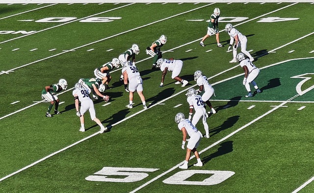 被球迷们视 被球迷们视