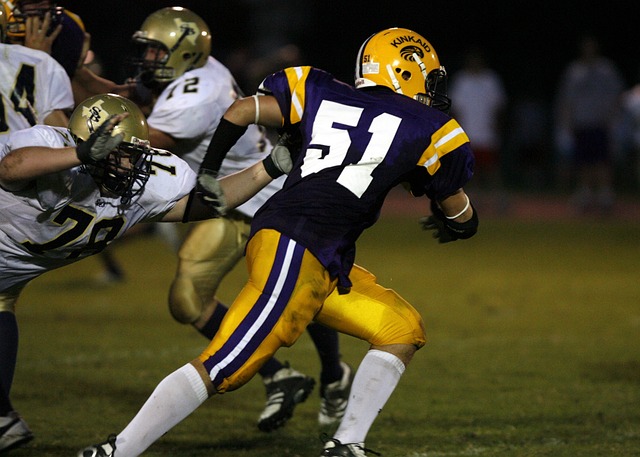 我们的辨识 我们的辨识