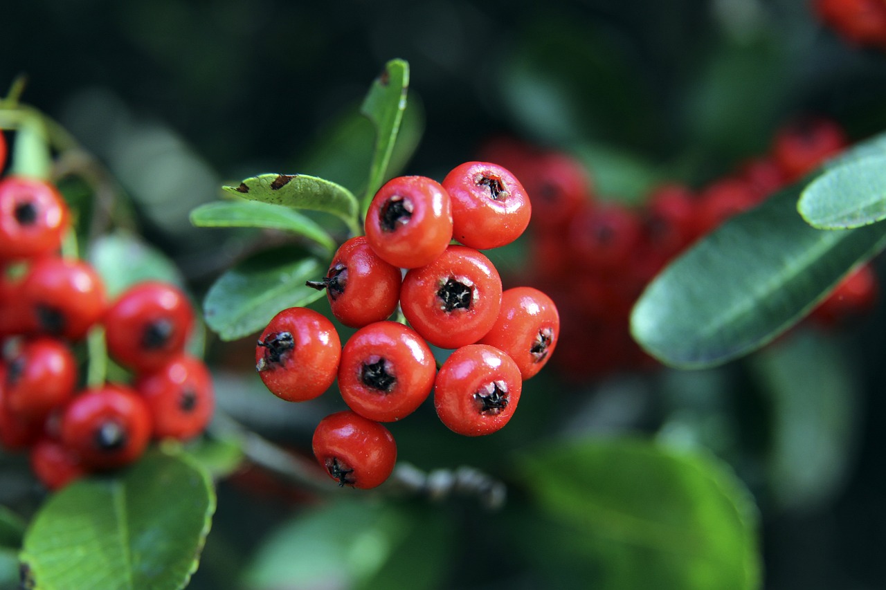 状态的重要 状态的重要