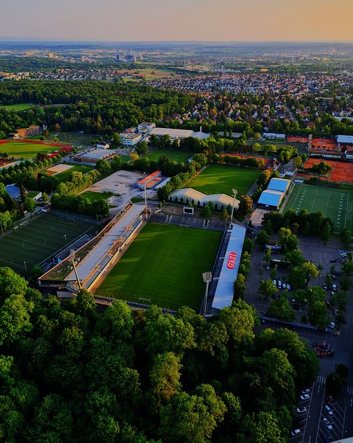 对篮球文化 对篮球文化