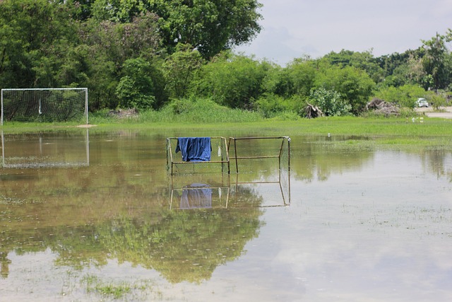 当我们说 当我们说