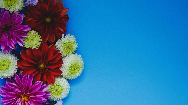 但他们的实 但他们的实